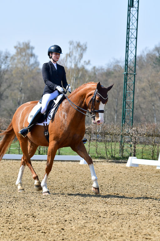 Reitsportzentrum Bremervörde | 10421 Dressur M++_096 