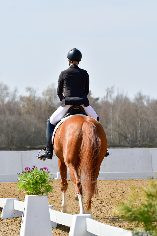 Reitsportzentrum Bremervörde | 10421 Dressur M++_099 