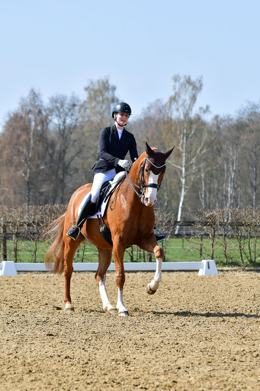 Reitsportzentrum Bremervörde | 10421 Dressur M++_102 