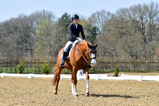 Reitsportzentrum Bremervörde | 10421 Dressur M++_103 