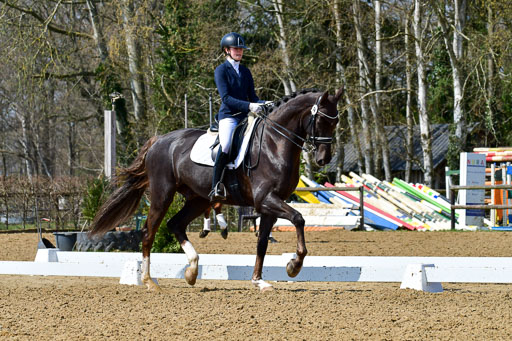 Reitsportzentrum Bremervörde | 10421 Dressur M++_104 