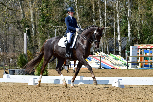 Reitsportzentrum Bremervörde | 10421 Dressur M++_105 