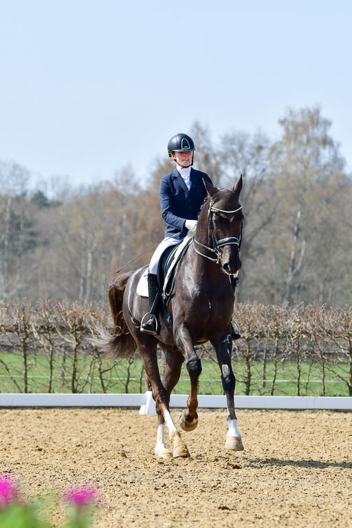 Reitsportzentrum Bremervörde | 10421 Dressur M++_107 