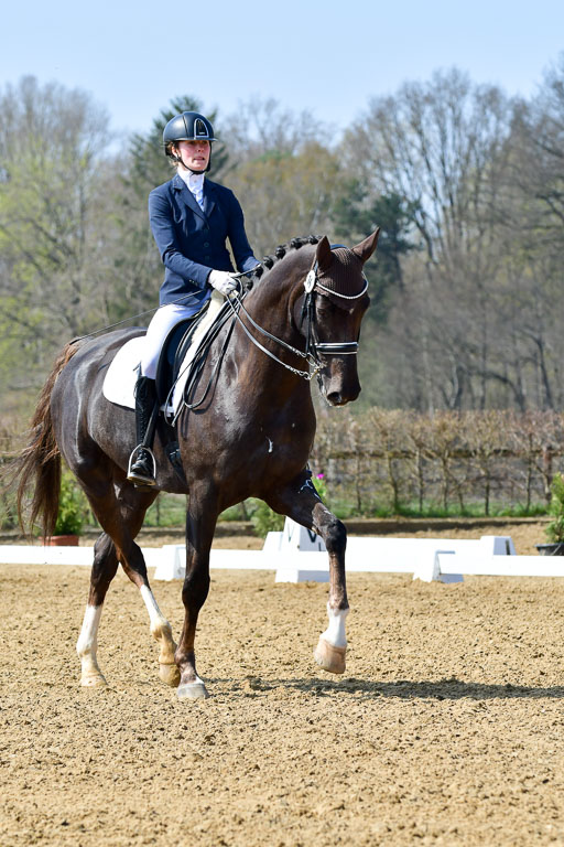 Reitsportzentrum Bremervörde | 10421 Dressur M++_108 