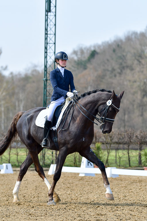 Reitsportzentrum Bremervörde | 10421 Dressur M++_112 