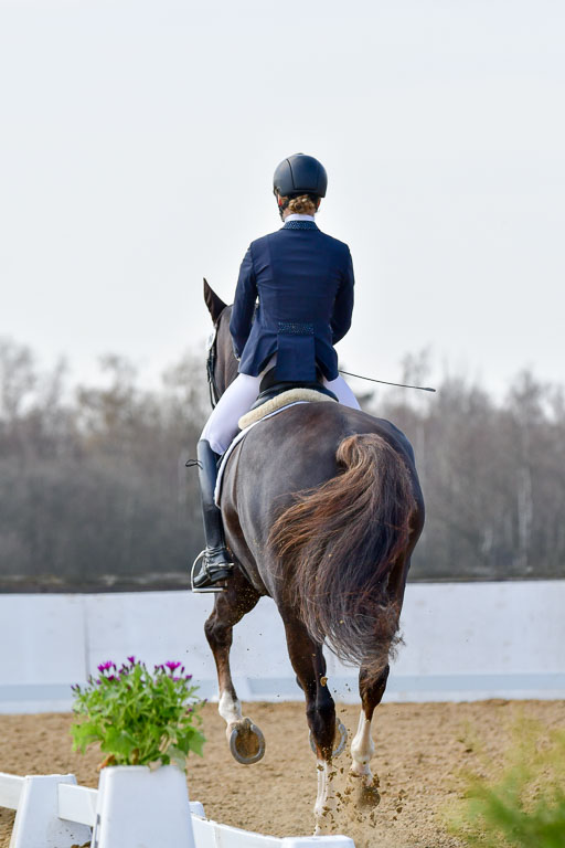 Reitsportzentrum Bremervörde | 10421 Dressur M++_115 