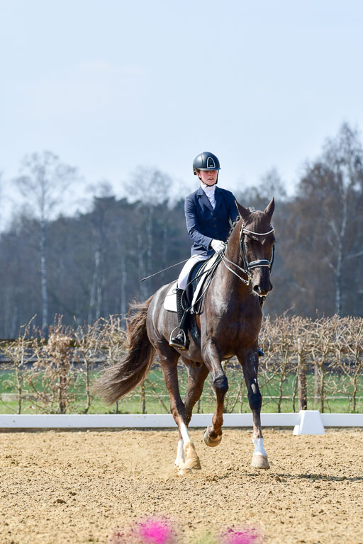 Reitsportzentrum Bremervörde | 10421 Dressur M++_117 