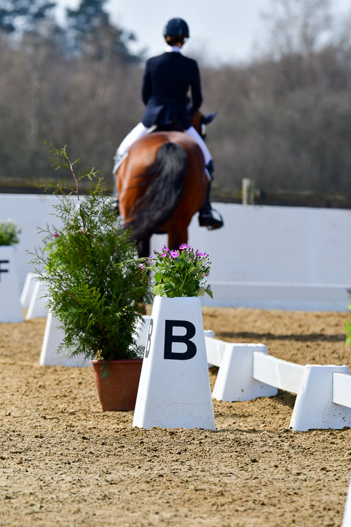 Reitsportzentrum Bremervörde | 10421 Dressur M++_120 