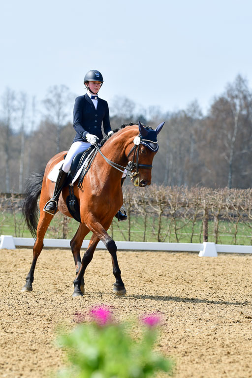 Reitsportzentrum Bremervörde | 10421 Dressur M++_126 