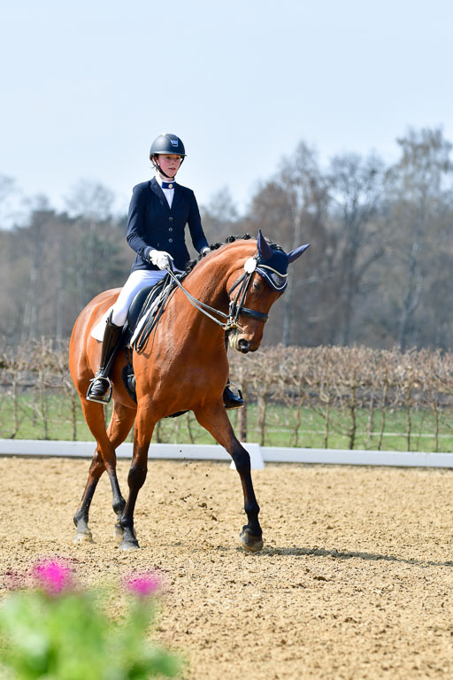 Reitsportzentrum Bremervörde | 10421 Dressur M++_127 