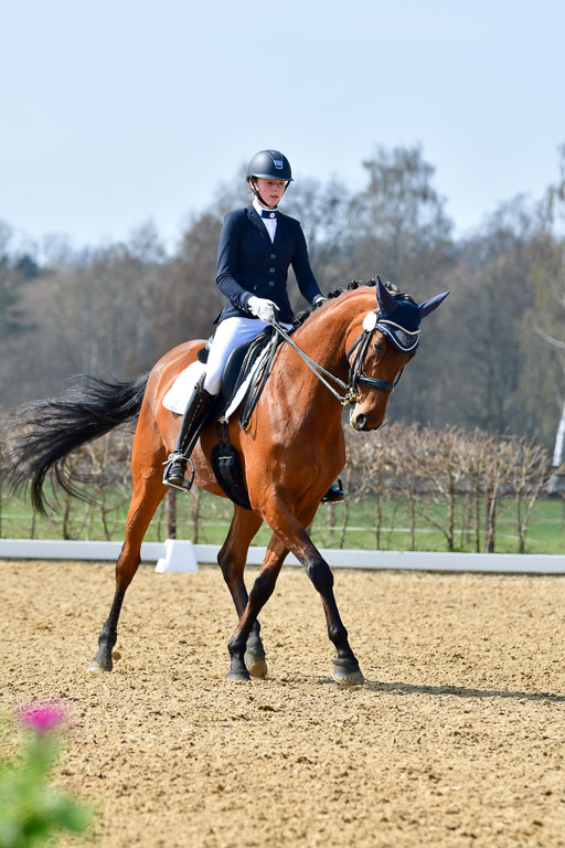 Reitsportzentrum Bremervörde | 10421 Dressur M++_128 