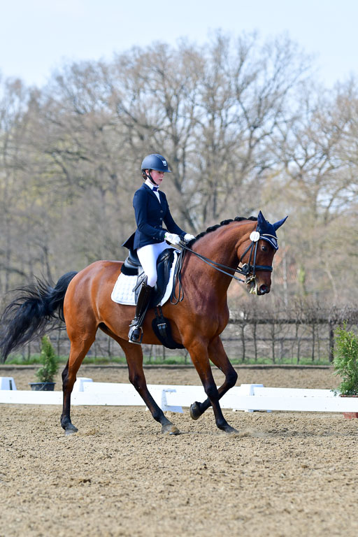 Reitsportzentrum Bremervörde | 10421 Dressur M++_132 