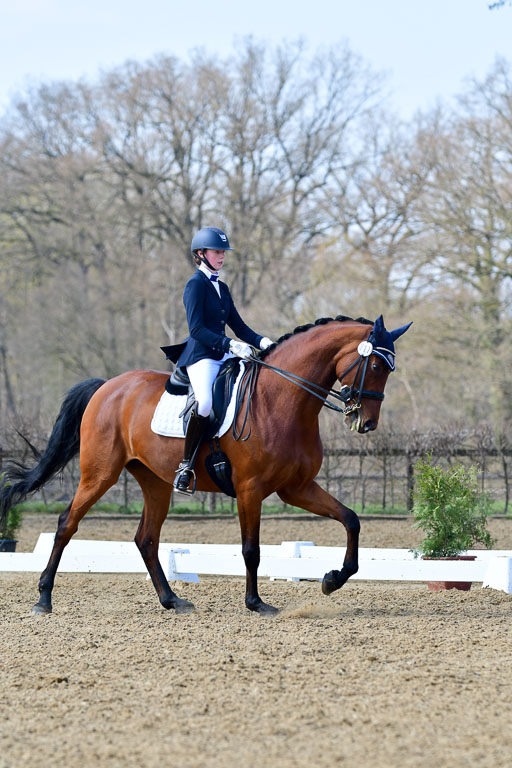 Reitsportzentrum Bremervörde | 10421 Dressur M++_133 