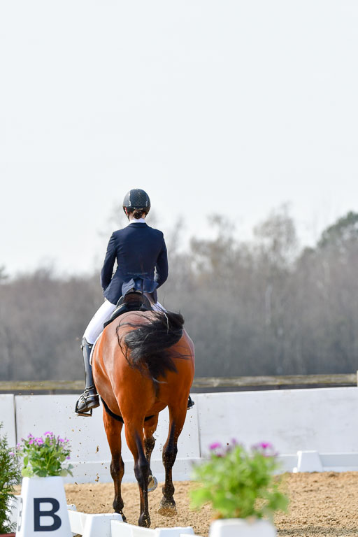 Reitsportzentrum Bremervörde | 10421 Dressur M++_135 