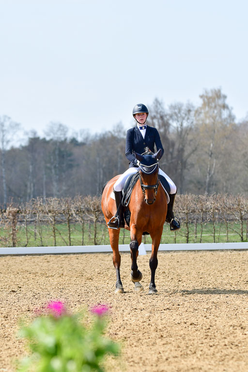 Reitsportzentrum Bremervörde | 10421 Dressur M++_136 