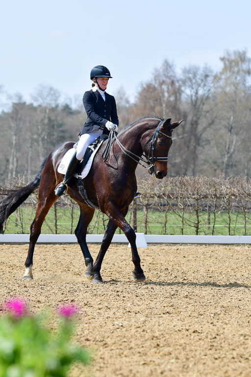 Reitsportzentrum Bremervörde | 10421 Dressur M++_141 