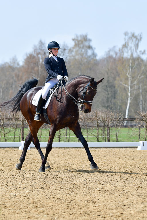 Reitsportzentrum Bremervörde | 10421 Dressur M++_142 