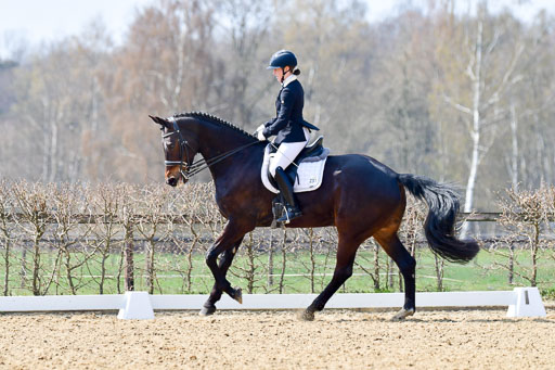 Reitsportzentrum Bremervörde | 10421 Dressur M++_145 