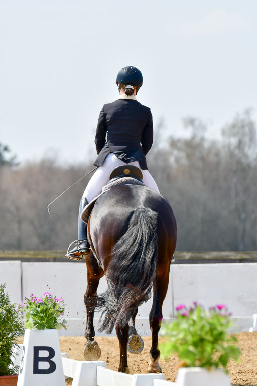 Reitsportzentrum Bremervörde | 10421 Dressur M++_151 