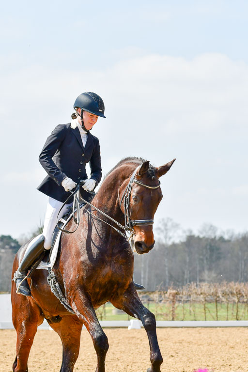 Reitsportzentrum Bremervörde | 10421 Dressur M++_153 