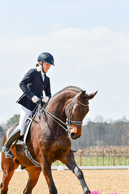 Reitsportzentrum Bremervörde | 10421 Dressur M++_154 