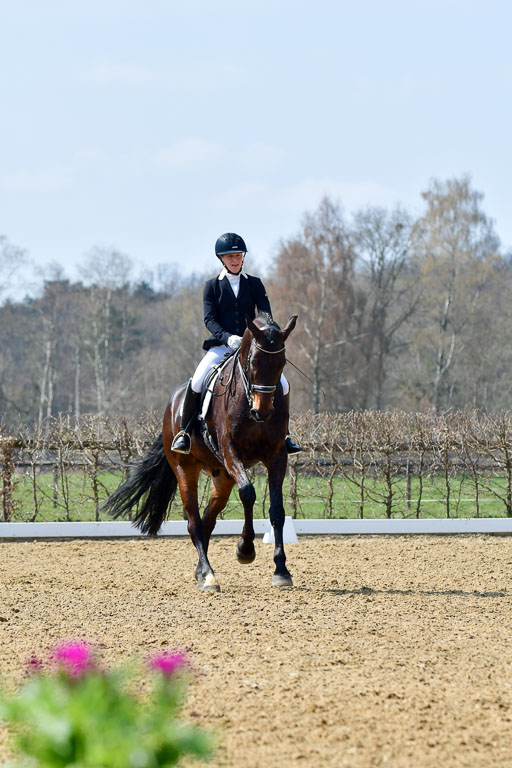 Reitsportzentrum Bremervörde | 10421 Dressur M++_155 