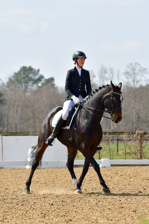 Reitsportzentrum Bremervörde | 10421 Dressur M++_160 