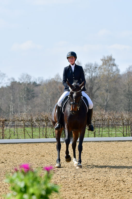 Reitsportzentrum Bremervörde | 10421 Dressur M++_163 