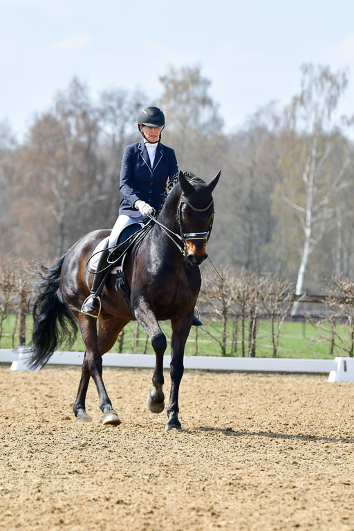 Reitsportzentrum Bremervörde | 10421 Dressur M++_171 