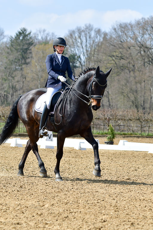 Reitsportzentrum Bremervörde | 10421 Dressur M++_172 