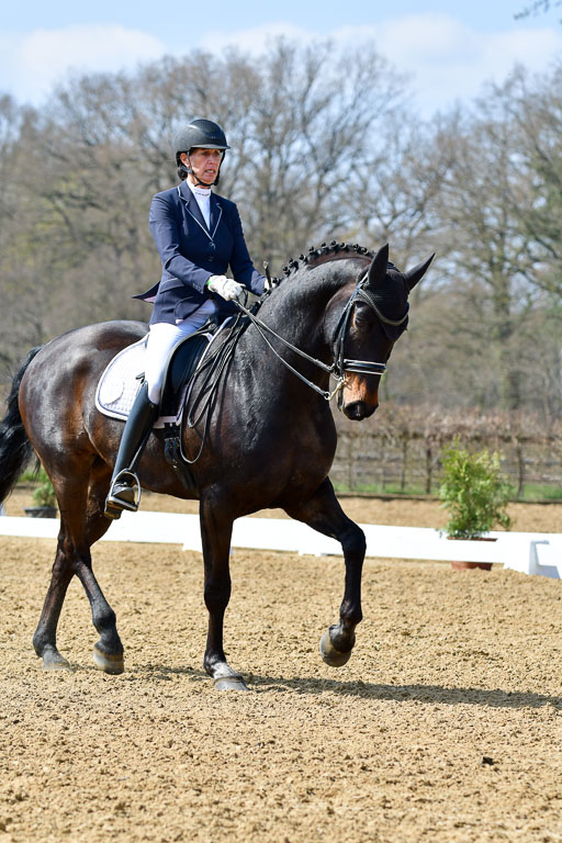 Reitsportzentrum Bremervörde | 10421 Dressur M++_173 