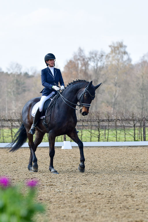 Reitsportzentrum Bremervörde | 10421 Dressur M++_175 