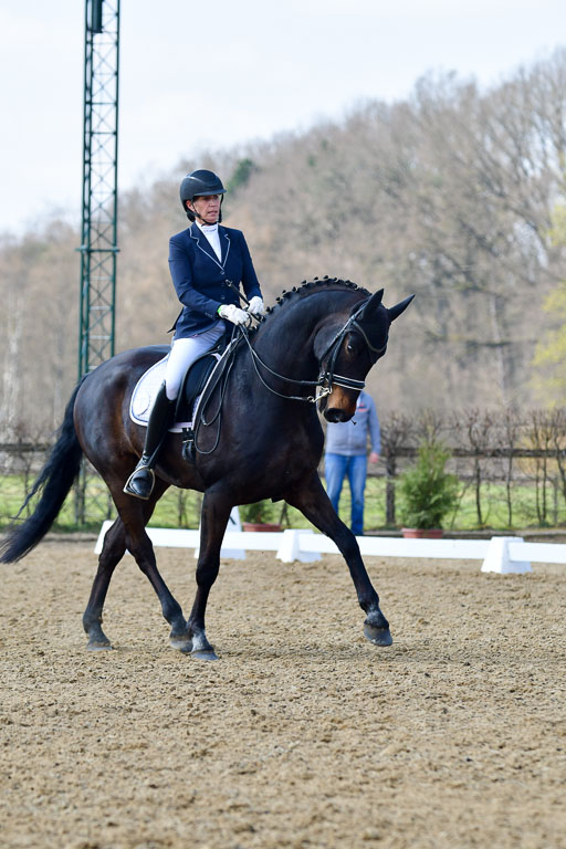 Reitsportzentrum Bremervörde | 10421 Dressur M++_176 