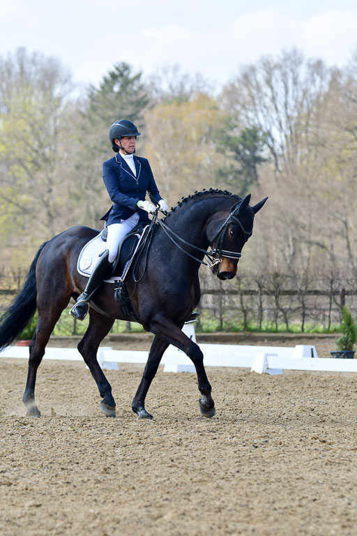Reitsportzentrum Bremervörde | 10421 Dressur M++_177 