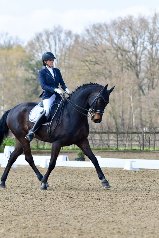 Reitsportzentrum Bremervörde | 10421 Dressur M++_178 