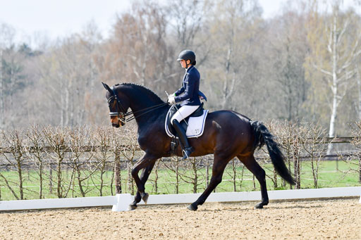 Reitsportzentrum Bremervörde | 10421 Dressur M++_179 