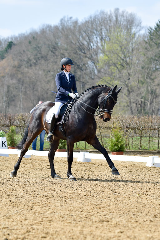 Reitsportzentrum Bremervörde | 10421 Dressur M++_181 