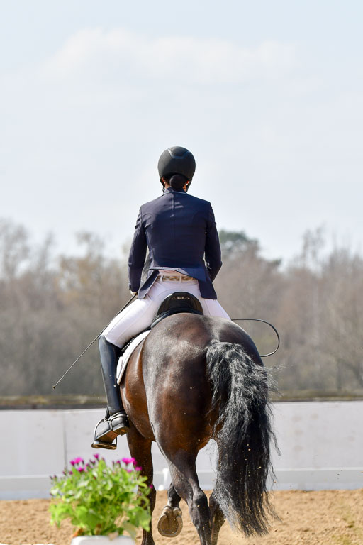 Reitsportzentrum Bremervörde | 10421 Dressur M++_182 