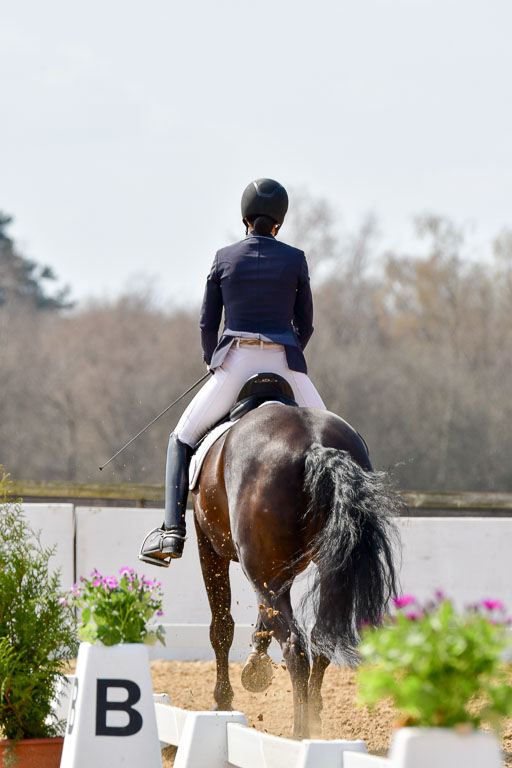 Reitsportzentrum Bremervörde | 10421 Dressur M++_183 