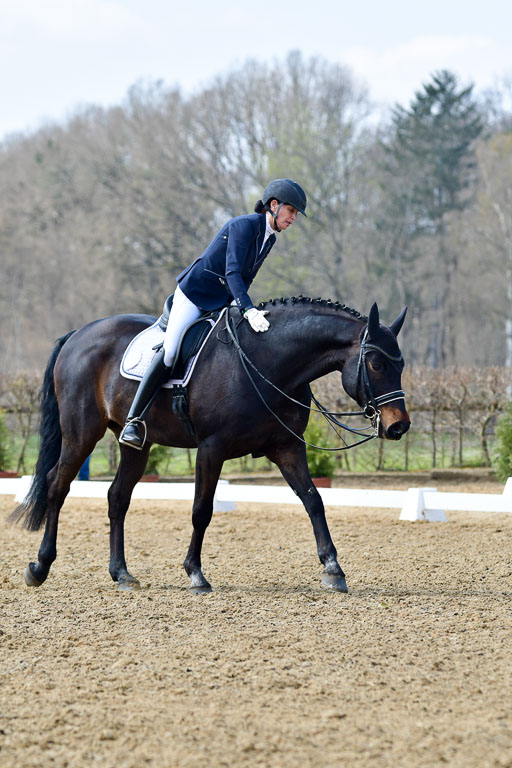 Reitsportzentrum Bremervörde | 10421 Dressur M++_187 