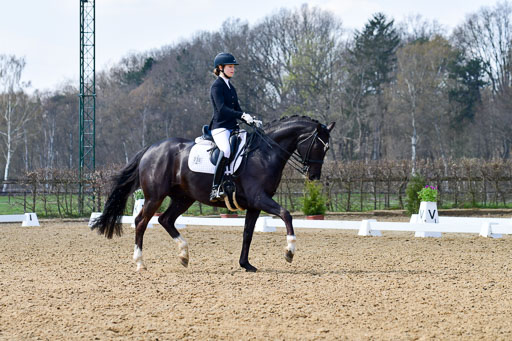 Reitsportzentrum Bremervörde | 10421 Dressur M++_189 