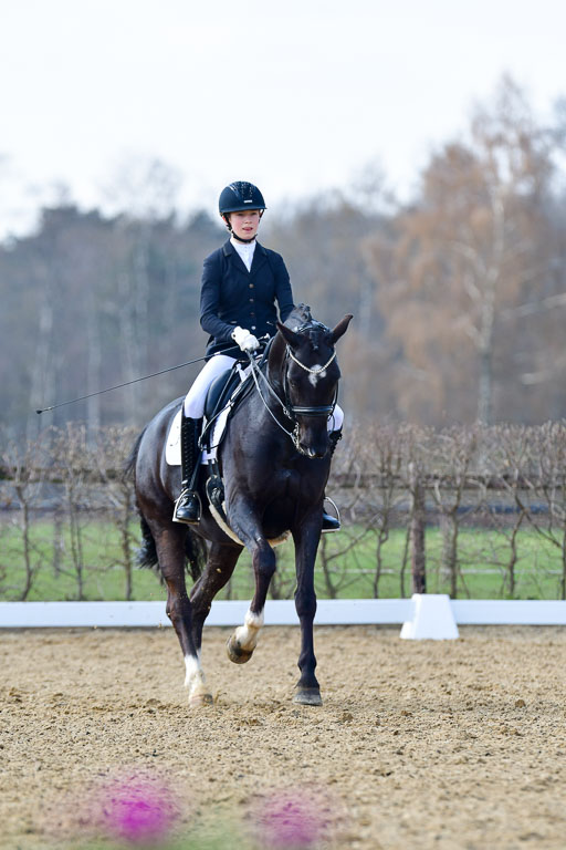 Reitsportzentrum Bremervörde | 10421 Dressur M++_190 