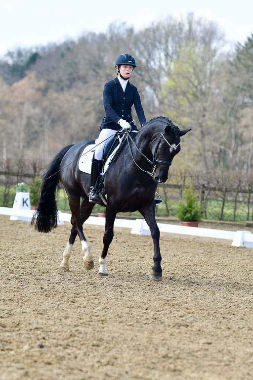 Reitsportzentrum Bremervörde | 10421 Dressur M++_192 