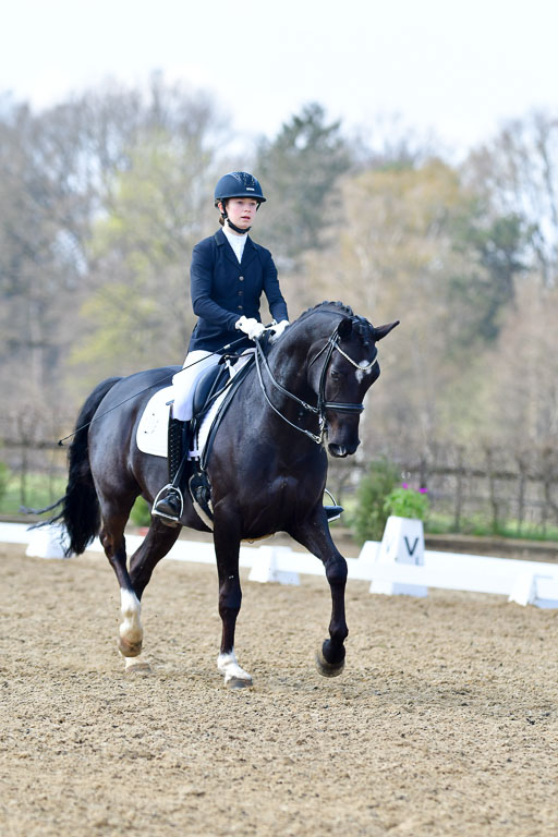 Reitsportzentrum Bremervörde | 10421 Dressur M++_193 