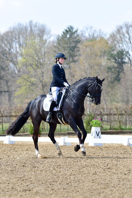 Reitsportzentrum Bremervörde | 10421 Dressur M++_196 