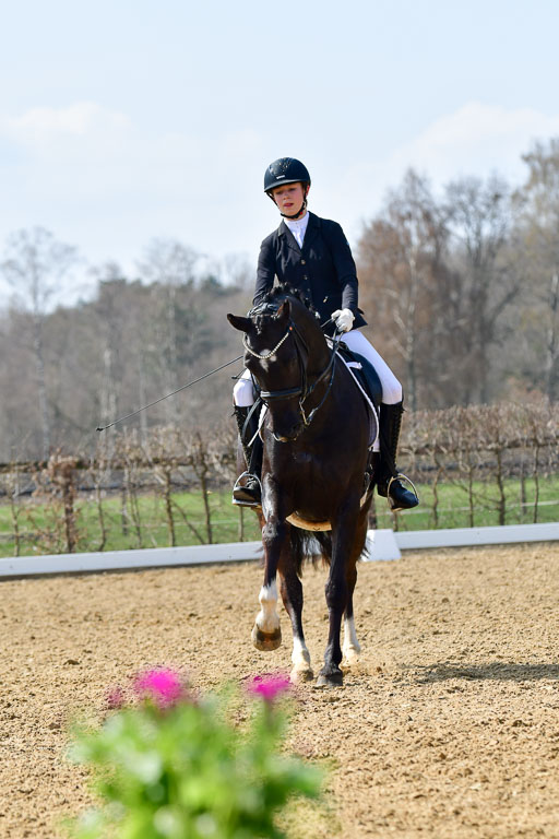 Reitsportzentrum Bremervörde | 10421 Dressur M++_200 