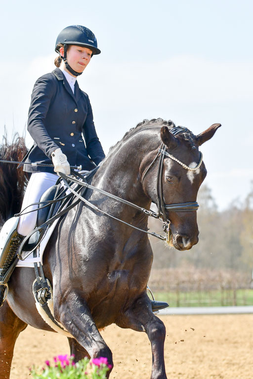 Reitsportzentrum Bremervörde | 10421 Dressur M++_203 