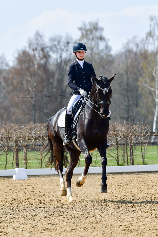 Reitsportzentrum Bremervörde | 10421 Dressur M++_204 