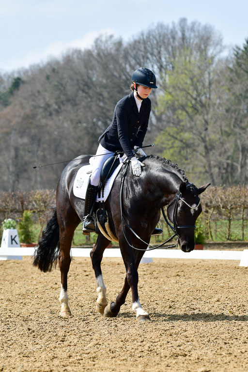 Reitsportzentrum Bremervörde | 10421 Dressur M++_205 