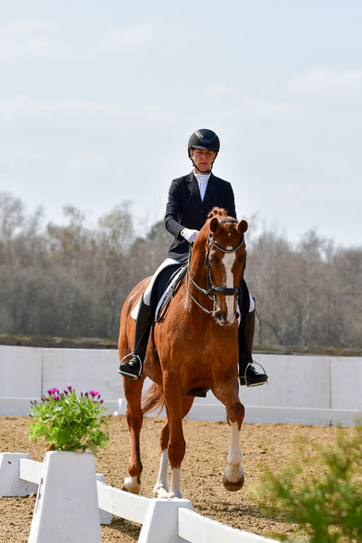 Reitsportzentrum Bremervörde | 10421 Dressur M++_207 
